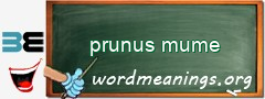 WordMeaning blackboard for prunus mume